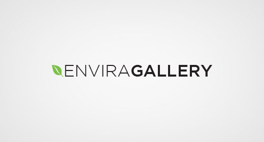Galerie Envira