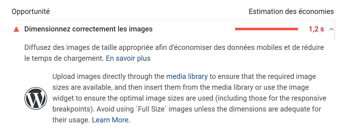 La taille des fichiers des images de votre page est trop importante. selon PageSpeed Insight